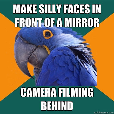 Make silly faces in front of a mirror camera filming behind  Paranoid Parrot