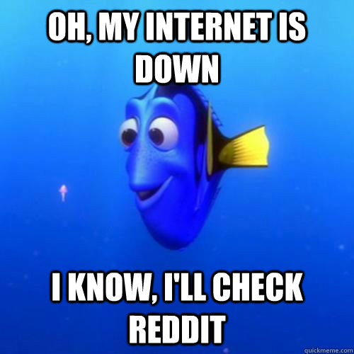 Oh, my internet is down I know, i'll check reddit  dory