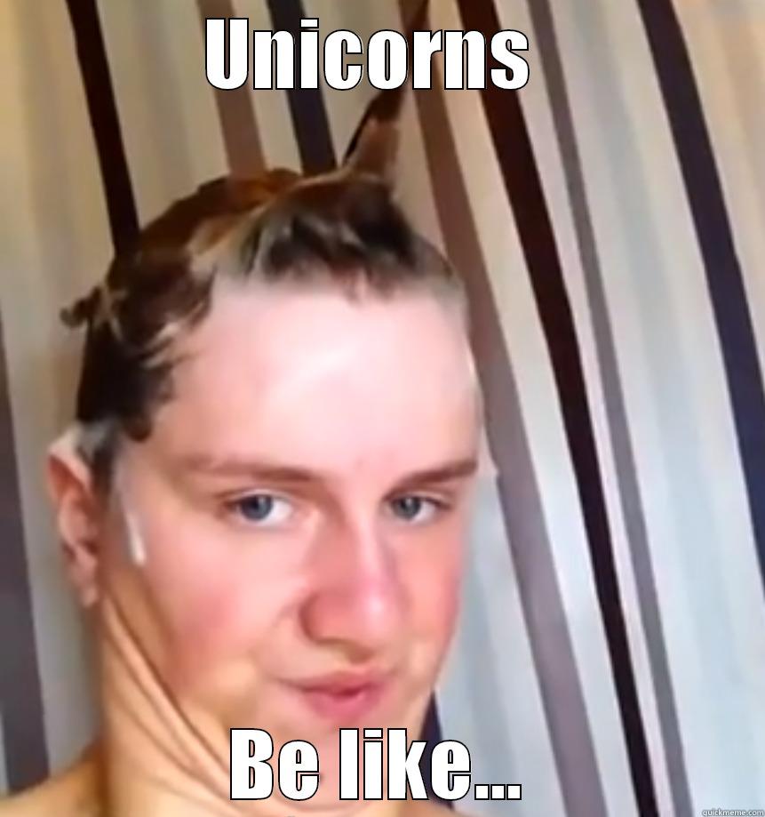 UNICORNS  BE LIKE... Misc