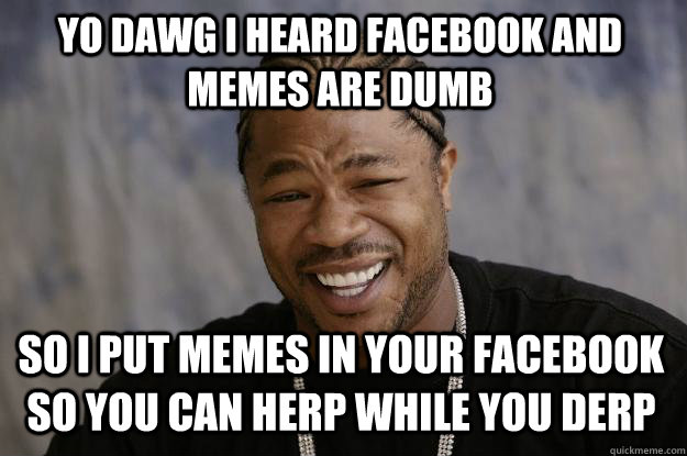 YO DAWG I heard facebook and memes are dumb so i put memes in your facebook so you can herp while you derp  Xzibit meme