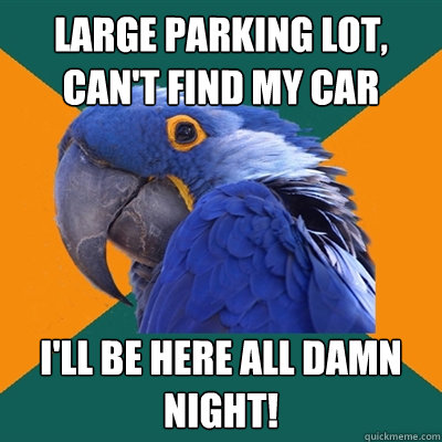 large parking lot, can't find my car i'll be here all damn night!  Paranoid Parrot
