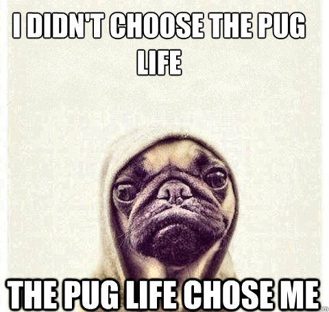 I didn't choose the pug life The pug life chose me - I didn't choose the pug life The pug life chose me  Pug Life
