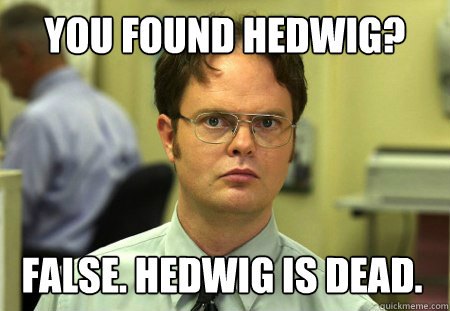 You found Hedwig? False. Hedwig is dead.  Dwight