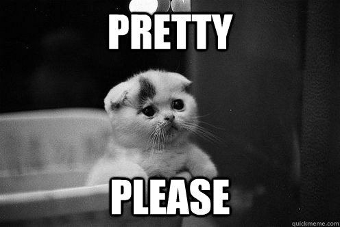 Pretty please - Pretty please  Self depreciating kitten