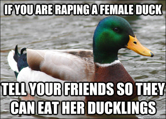 if you are raping a female duck tell your friends so they can eat her ducklings   Actual Advice Mallard