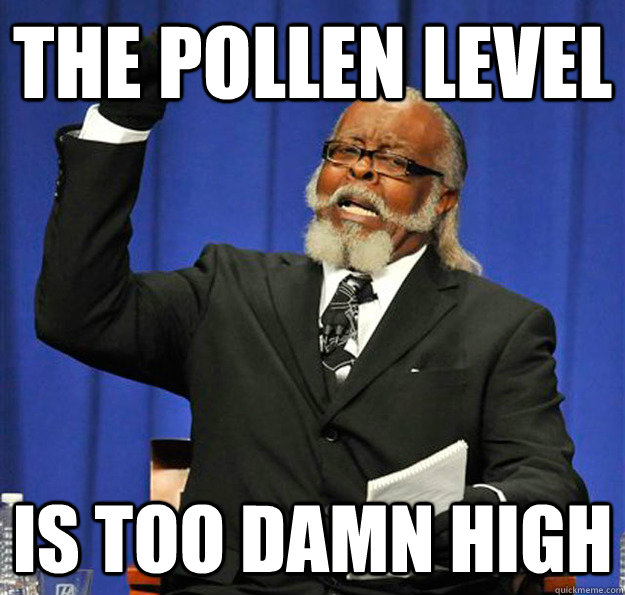 The pollen level Is too damn high  Jimmy McMillan