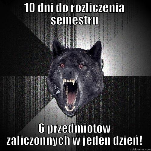 10 DNI DO ROZLICZENIA SEMESTRU 6 PRZEDMIOTÓW ZALICZONNYCH W JEDEN DZIEŃ! Insanity Wolf