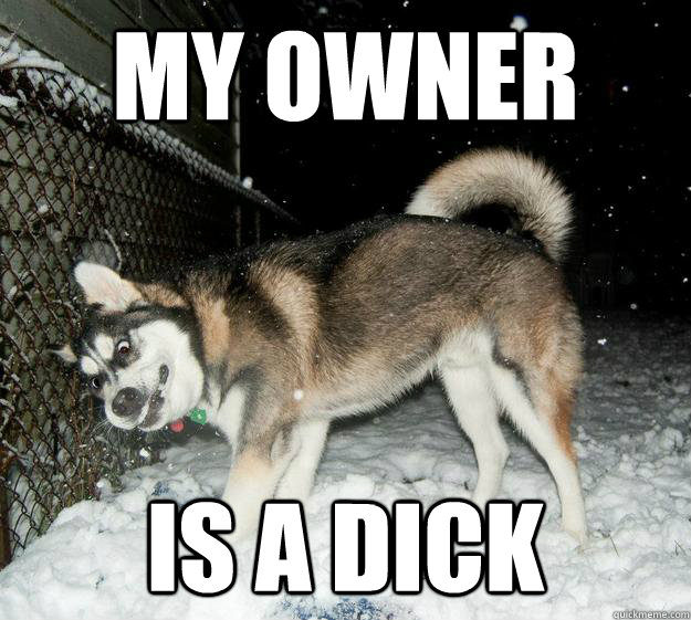 My owner is a dick - My owner is a dick  Sudden Clarity Canine