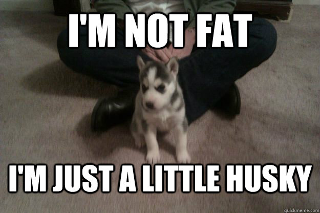 I'm not fat I'm just a little husky  