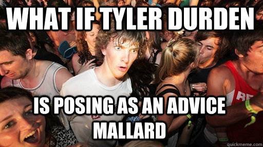What if tyler durden is posing as an advice mallard  Sudden Clarity Clarence