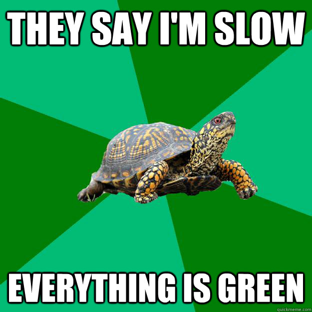 THEY SAY I'M SLOW Everything is green  Torrenting Turtle