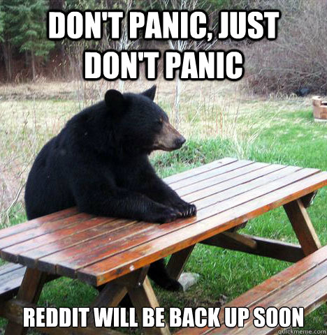 Don't panic, Just don't Panic Reddit will be back up soon - Don't panic, Just don't Panic Reddit will be back up soon  waiting bear
