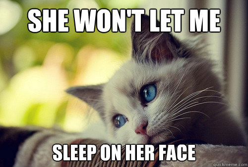 She won't let me Sleep on her face  First World Problems Cat