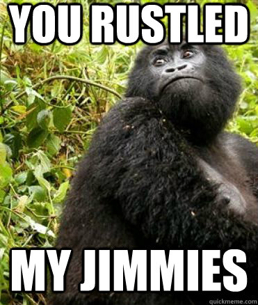 You Rustled My Jimmies  