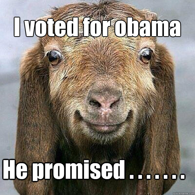 I voted for obama He promised . . . . . . . - I voted for obama He promised . . . . . . .  happy goat