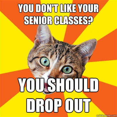 you don't like your senior classes? you should drop out - you don't like your senior classes? you should drop out  Bad Advice Cat