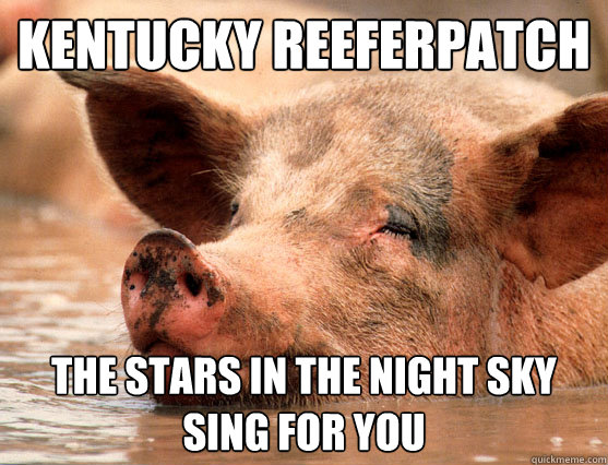 kentucky reeferpatch the stars in the night sky sing for you  Stoner Pig