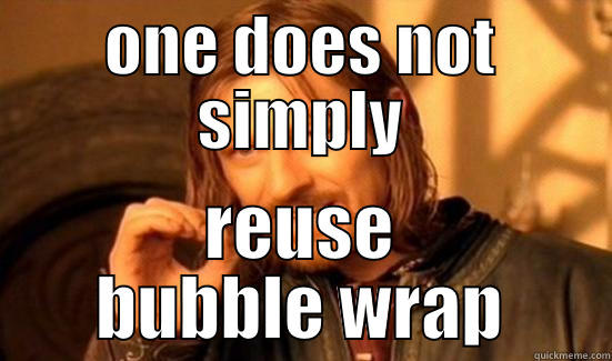 ONE DOES NOT SIMPLY REUSE BUBBLE WRAP Boromir
