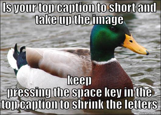 IS YOUR TOP CAPTION TO SHORT AND TAKE UP THE IMAGE KEEP PRESSING THE SPACE KEY IN THE TOP CAPTION TO SHRINK THE LETTERS Actual Advice Mallard