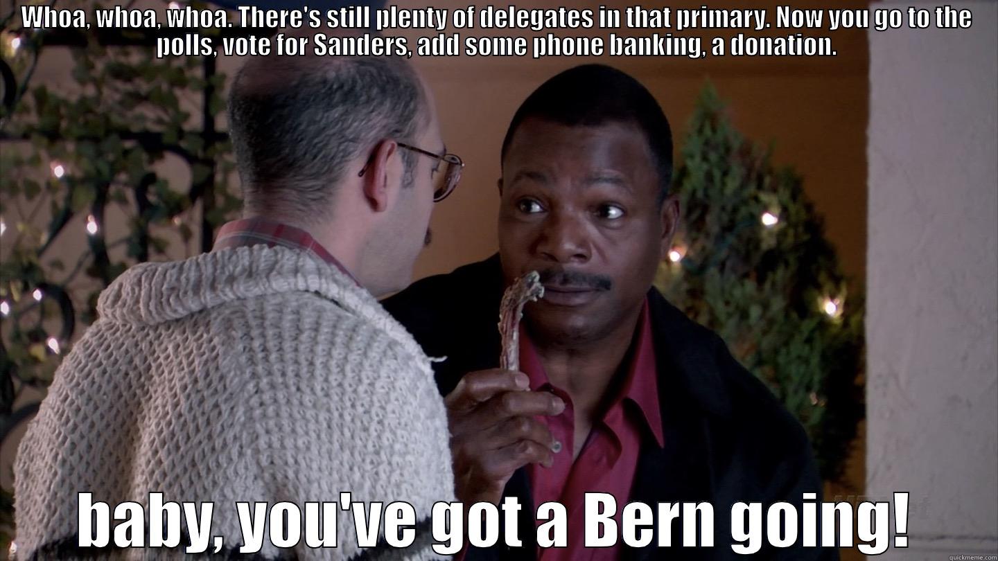 WHOA, WHOA, WHOA. THERE'S STILL PLENTY OF DELEGATES IN THAT PRIMARY. NOW YOU GO TO THE POLLS, VOTE FOR SANDERS, ADD SOME PHONE BANKING, A DONATION. BABY, YOU'VE GOT A BERN GOING! Misc