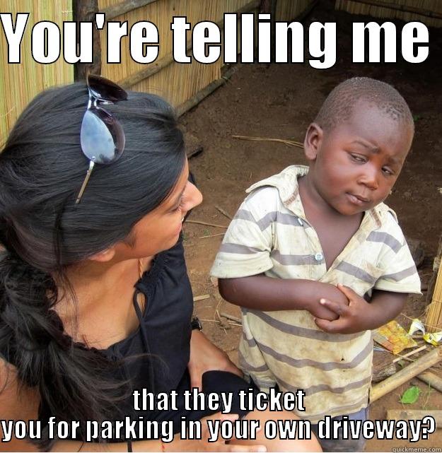 YOU'RE TELLING ME  THAT THEY TICKET YOU FOR PARKING IN YOUR OWN DRIVEWAY? Skeptical Third World Kid