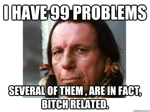 i have 99 problems several of them , are in fact, bitch related.  