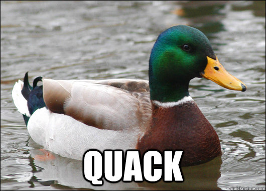  quack -  quack  Actual Advice Mallard