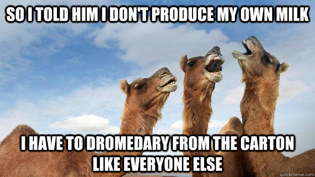 so i told him i don't produce my own milk i have to dromedary from the carton like everyone else - so i told him i don't produce my own milk i have to dromedary from the carton like everyone else  comic camels