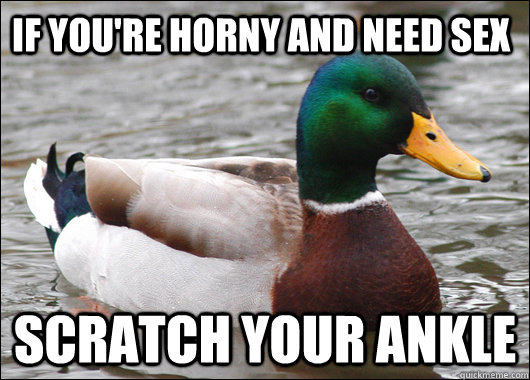 If you're horny and need sex scratch your ankle  Actual Advice Mallard