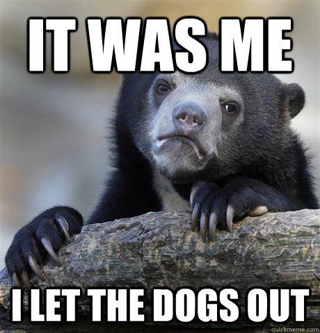 It was me I let the dogs out - It was me I let the dogs out  Confession Bear