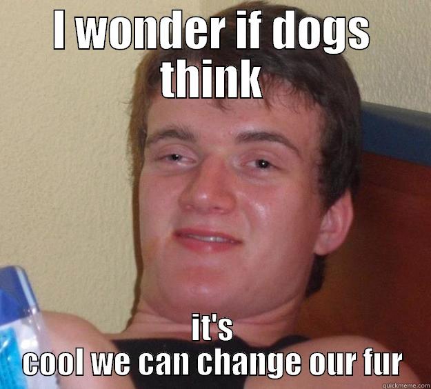 My friend as he put on his coat had this brilliant thought - I WONDER IF DOGS THINK IT'S COOL WE CAN CHANGE OUR FUR 10 Guy