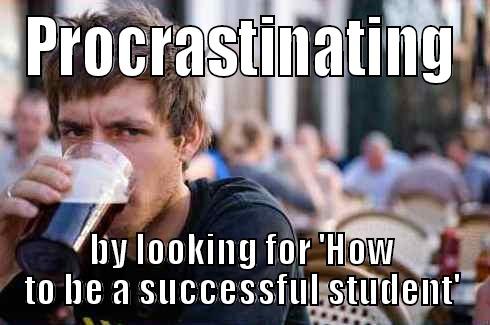 PROCRASTINATING BY LOOKING FOR 'HOW TO BE A SUCCESSFUL STUDENT' Lazy College Senior