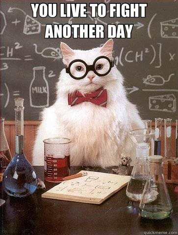 YOU LIVE TO FIGHT ANOTHER DAY   Chemistry Cat