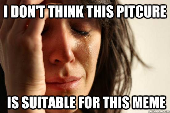 I don't think this pitcure  is suitable for this meme  First World Problems