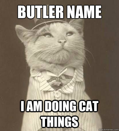 Butler Name I am doing cat things  Aristocat