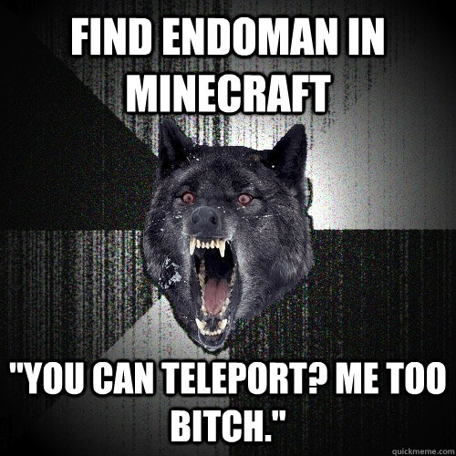 find endoman in minecraft 