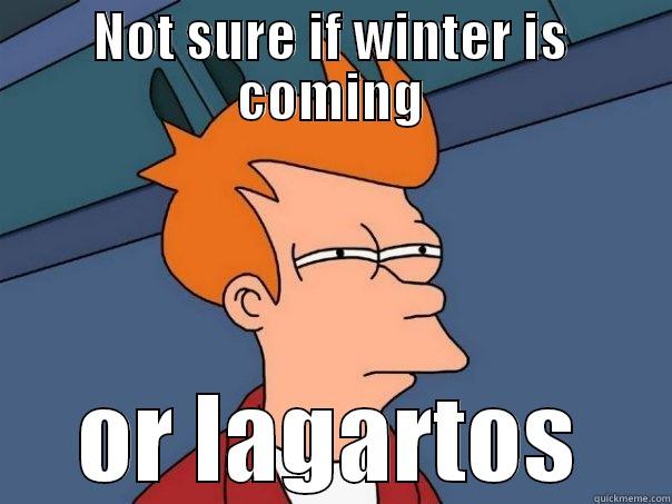 NOT SURE IF WINTER IS COMING OR LAGARTOS Futurama Fry