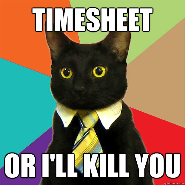 Timesheet Or i'll kill you  Business Cat