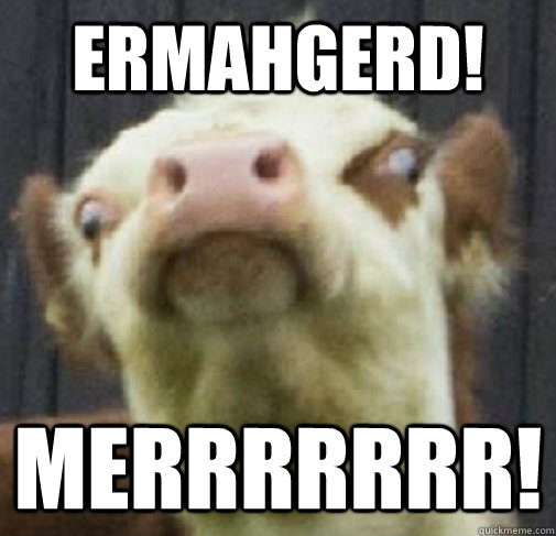 Ermahgerd! Merrrrrrr!  