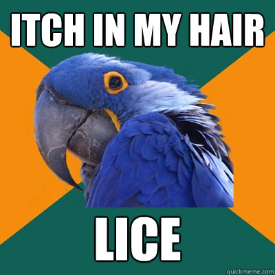 itch in my hair lice  Paranoid Parrot