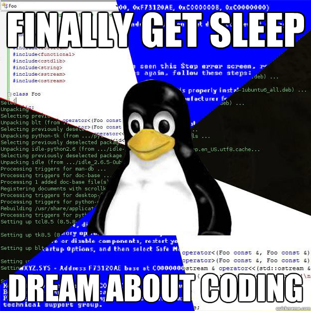 Finally get sleep dream about coding - Finally get sleep dream about coding  Computer Science Penguin