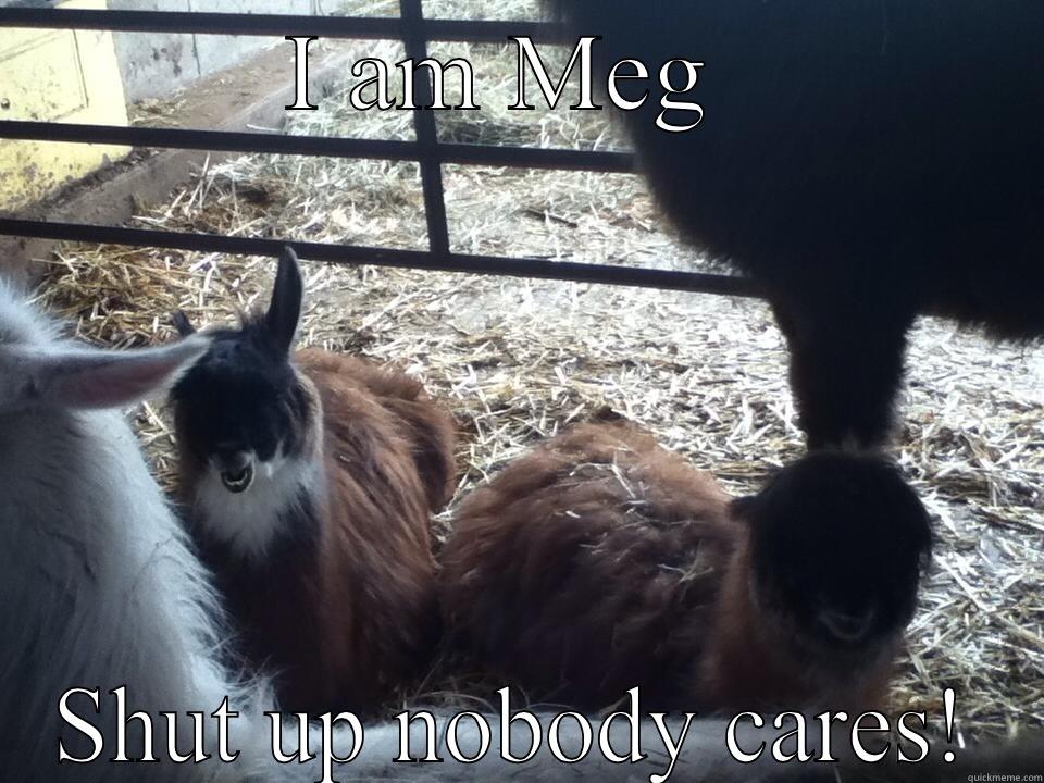 I AM MEG  SHUT UP NOBODY CARES! Misc
