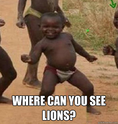  Where can you see lions?  dancing african baby