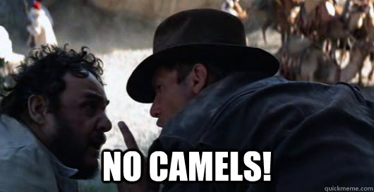  NO CAMELS! -  NO CAMELS!  NO CAMELS
