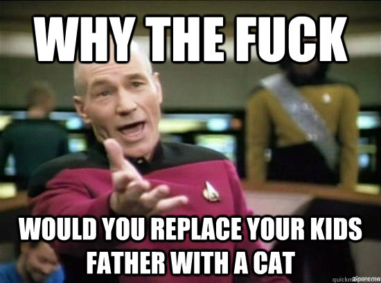 Why the fuck Would you replace your kids father with a cat  Annoyed Picard HD