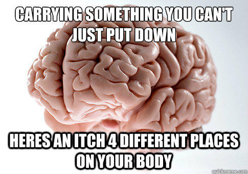 Carrying something you can't just put down Heres an itch 4 different places on your body - Carrying something you can't just put down Heres an itch 4 different places on your body  Scumbag Brain