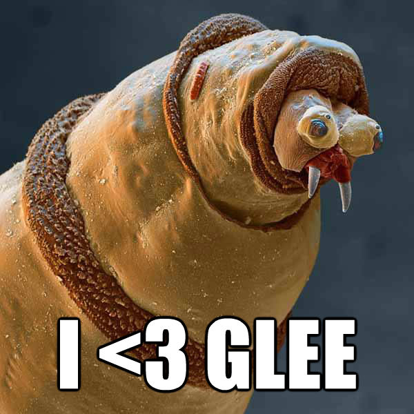  I <3 GLEE -  I <3 GLEE  Faggot Maggot