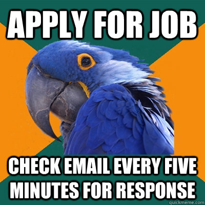 Apply for job Check email every five minutes for response  Paranoid Parrot