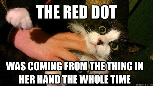 THE RED DOT WAS COMING FROM THE THING IN HER HAND THE WHOLE TIME  