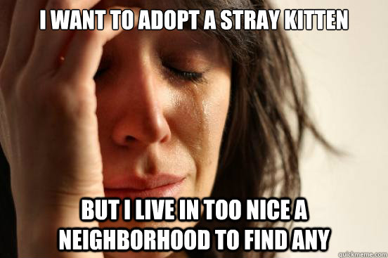 I want to adopt a stray kitten but I live in too nice a neighborhood to find any  First World Problems